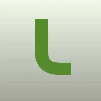 Лизин В.Н., компания, лого-визитка