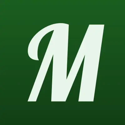 Магазин шин и дисков из Японии, лого-визитка