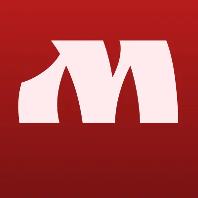 Метаснаб-Иркутск, группа компаний, лого-визитка