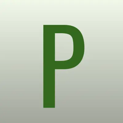 Pena, автомойка, лого-визитка