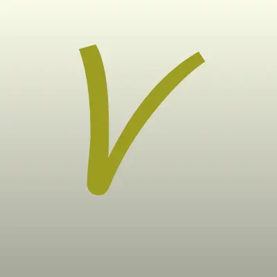 VS AUTO, лого-визитка