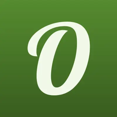 Ответственная прачка